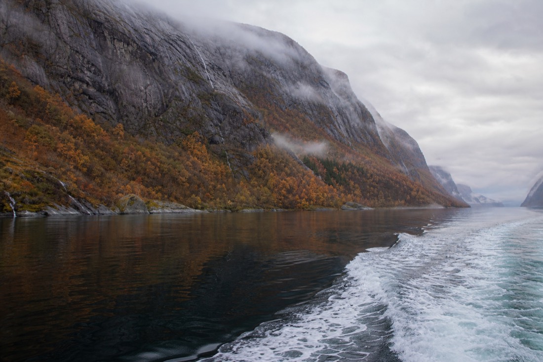 Autumn colour on the lower slopes of a quiet fjord with mist lifting off the water and a boat wake behind