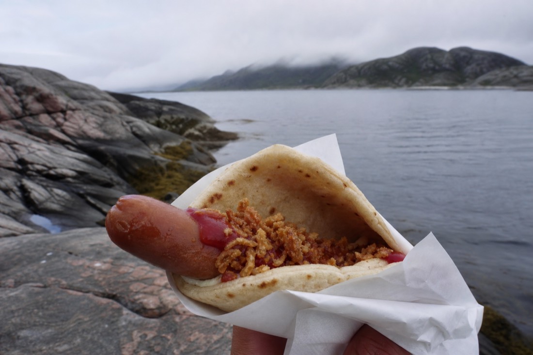 Norwegian hot dog wrapped in a soft potato flatbread with crispy onions held at a roadside kiosk
