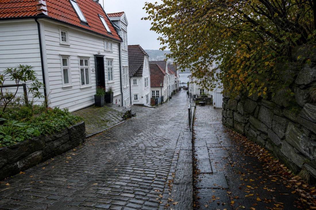 Wet cobbled Norwegian street in autumn with pedestrians in dark jeans and rain shells
