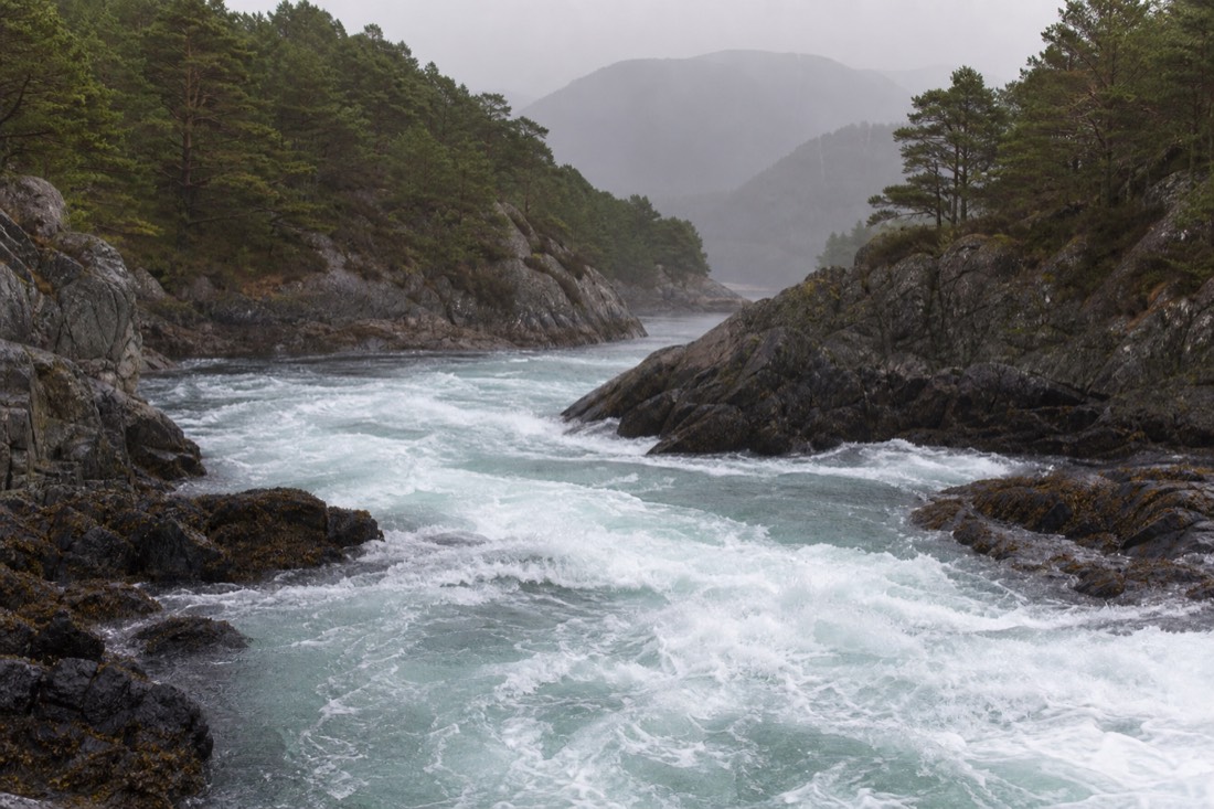 Tidal current churning through a narrow rock channel between forested slopes on a grey Norwegian morning